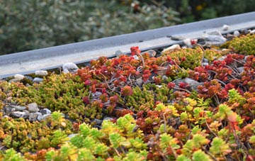 the cost of Maiden Head green roof installation