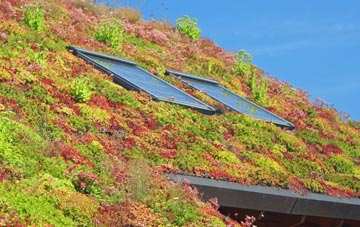 Maiden Head living roof systems